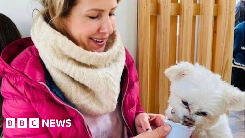 Dog attacks: Surge in incidents involving out-of-control dogs