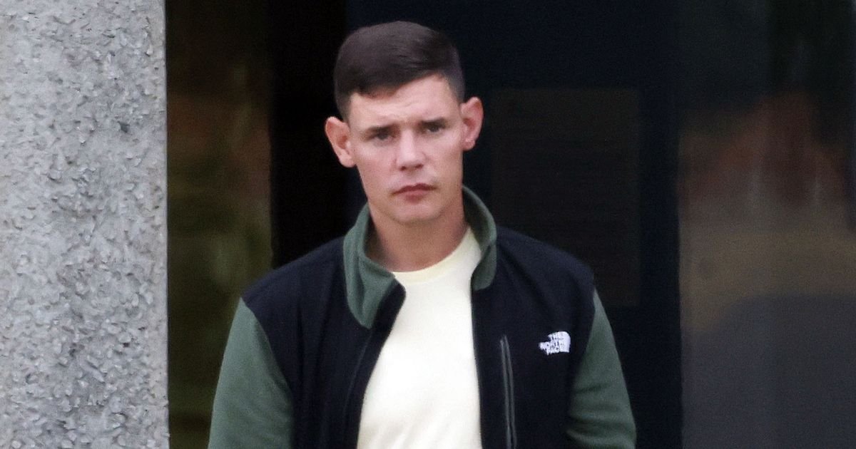 Dog destroyed after it attacks worker at Metro station and leaves him with scars