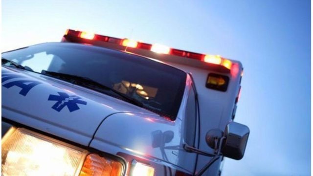 2 injured in dog attack in Oconee Co.