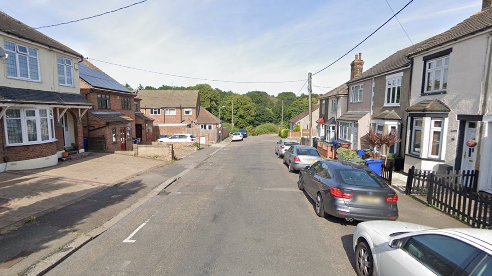 Woman savaged in horror dog attack after beast runs at her as she walked to car