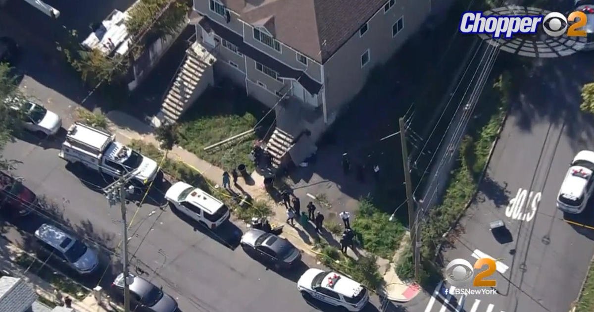 2-year-old among 3 injured in dog attack on Staten Island