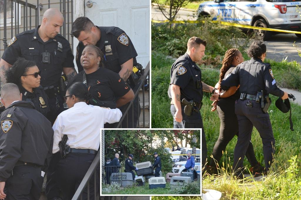 Couple charged in NYC pit bull attack that injured toddler and 2…